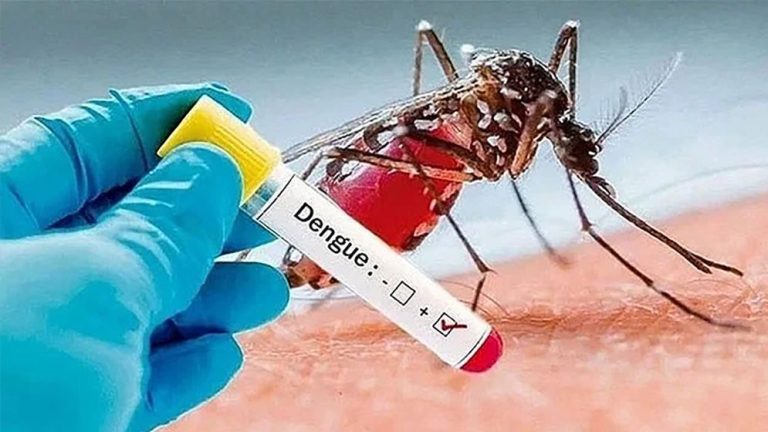 dengue-6741c8eb3ab87-674c59bf59795