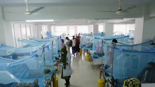 dengue-fdccc5183f1543b7b5e9aaa3437edb97