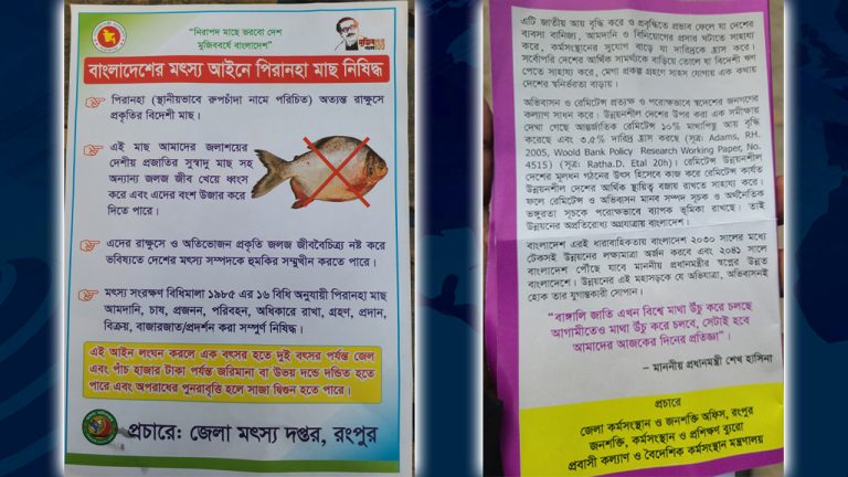 rangpur-20241222222659