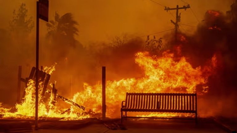 wildfire-67849445d1224