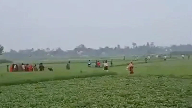 3333333333333-1742537694