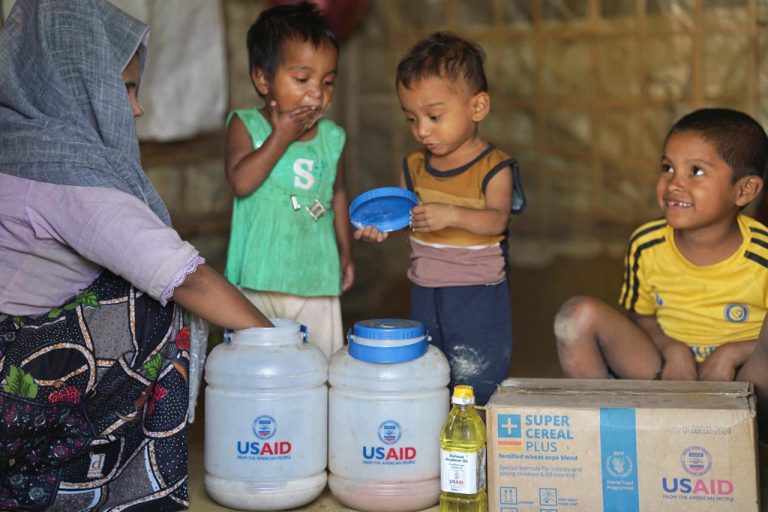 Rohingya-collected