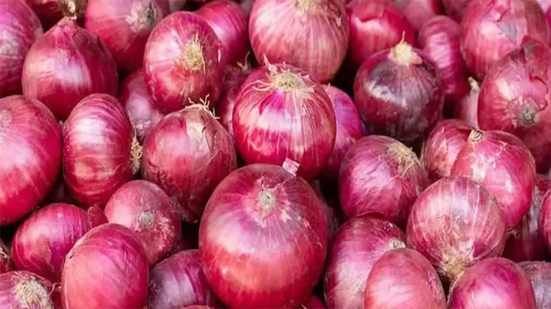 onion-1742711526
