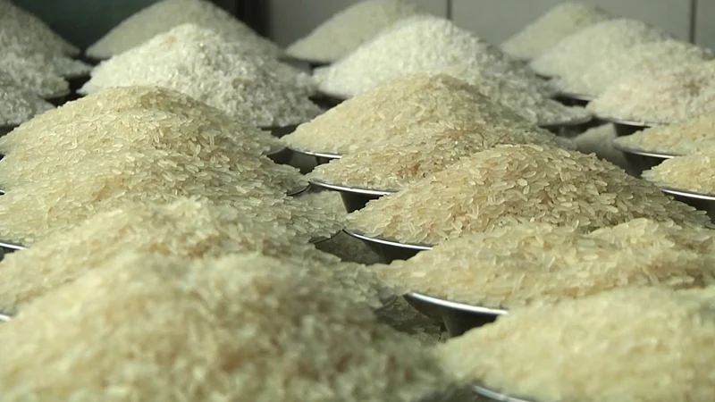 rice-1742392421