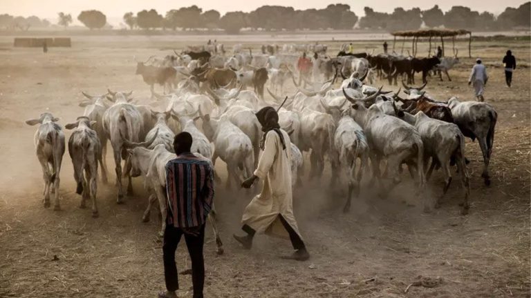 Herder-farmer-clash-6804d1a72b2a9