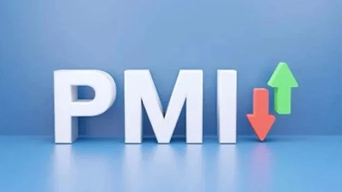 PMI-2504080257