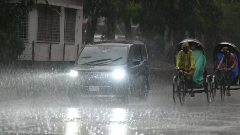 rain-1744546643