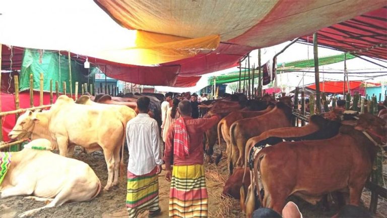 cow-hut-2