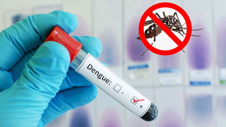 dengue (1)