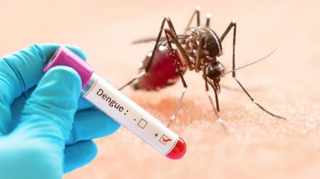 dengue-3