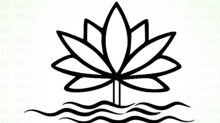image_203368_1752075902