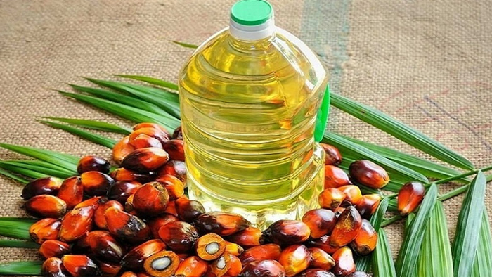 Pum-oil-2508120914