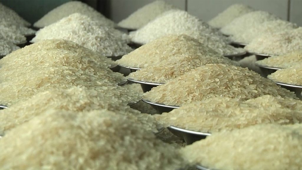 Rice-news