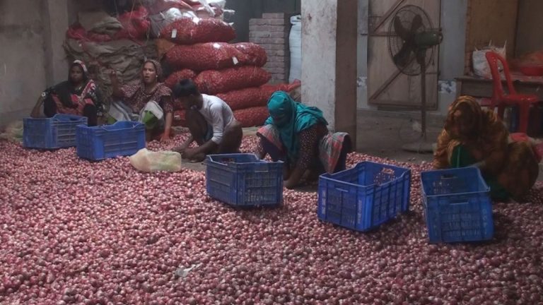 Satkhira-Onion