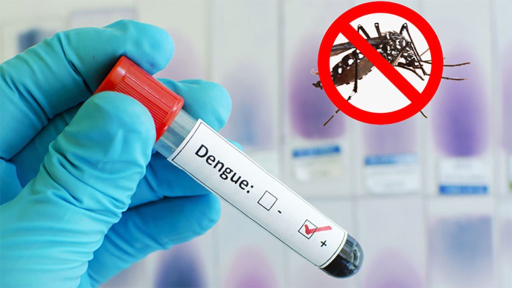 dengue-1