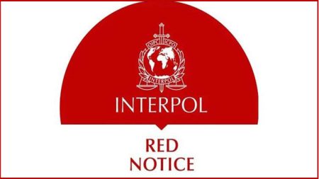 Interpol-2509011510