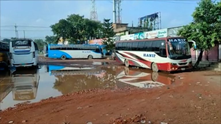 bus
