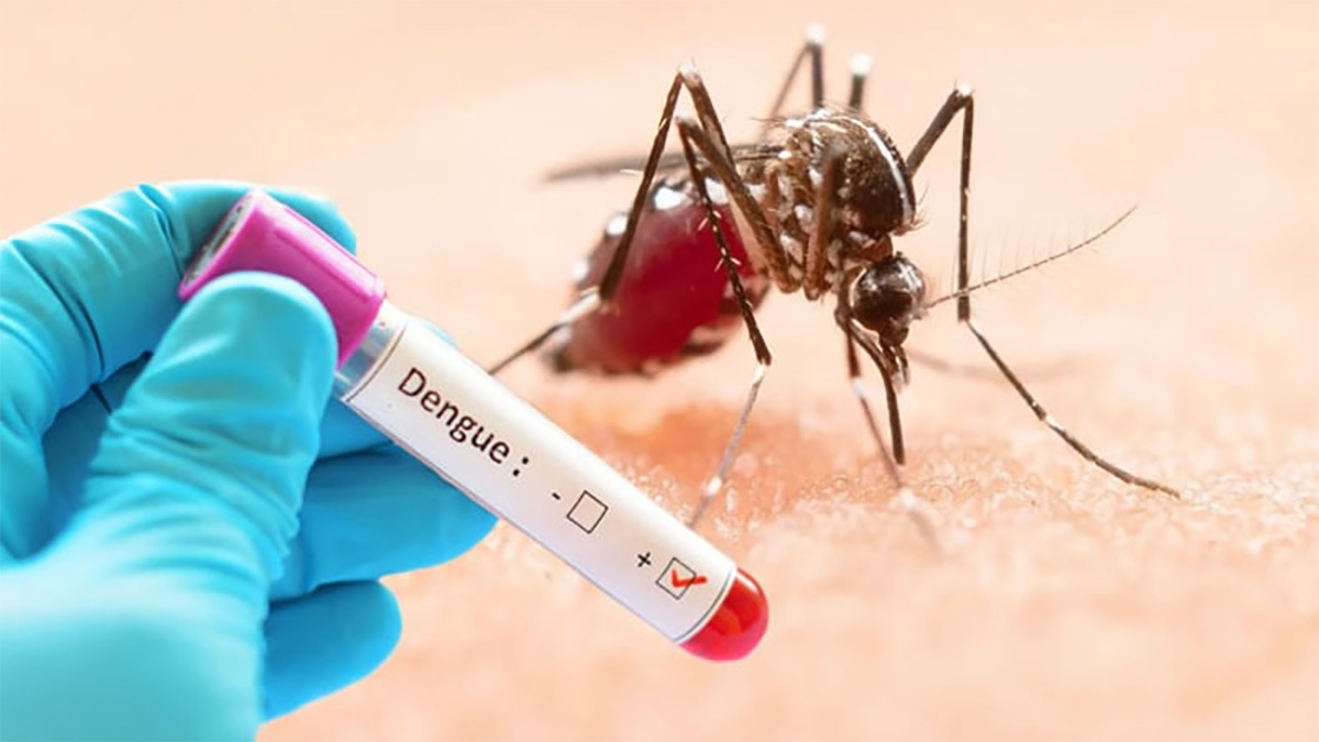 dengue-3