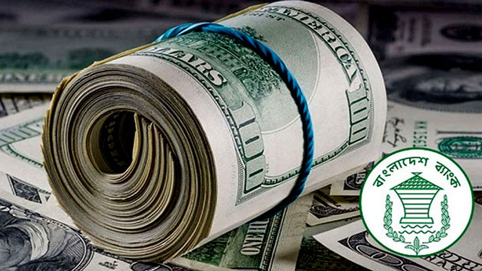 doller-2-2509161346